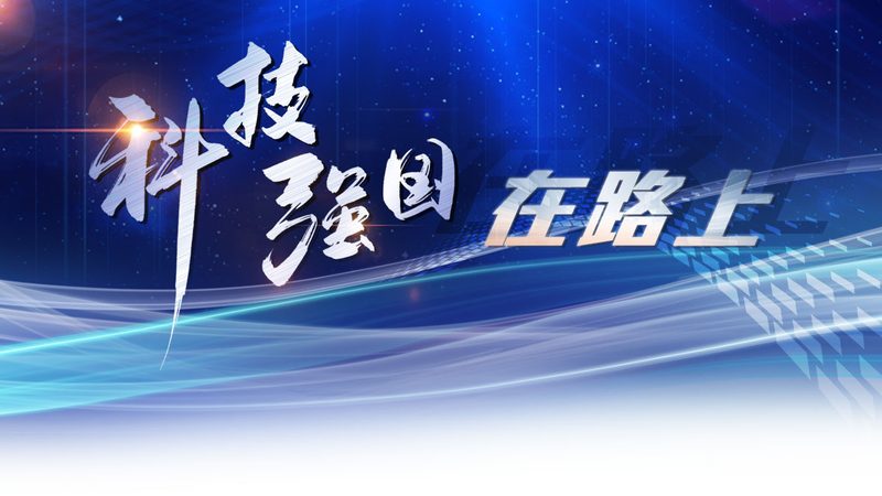 功能测试报告模板：构建高效IT决策的基石**